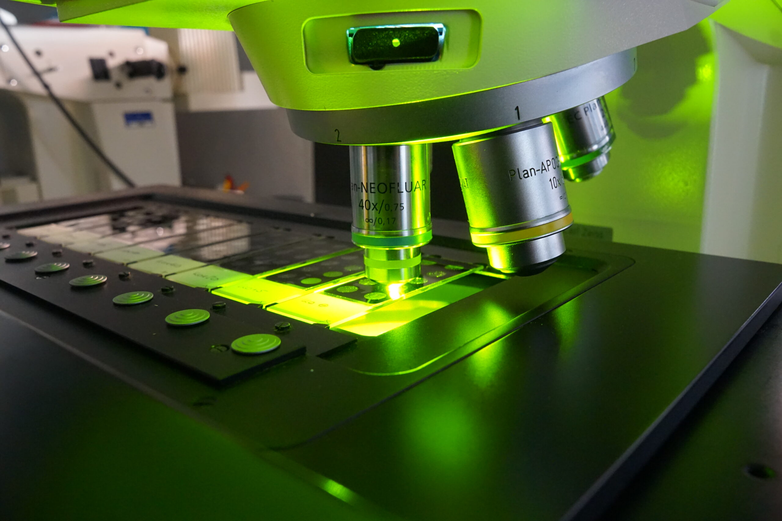 Zur Seite: Für Interessierte