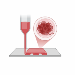 Zur Seite: 3D-Bioprinting