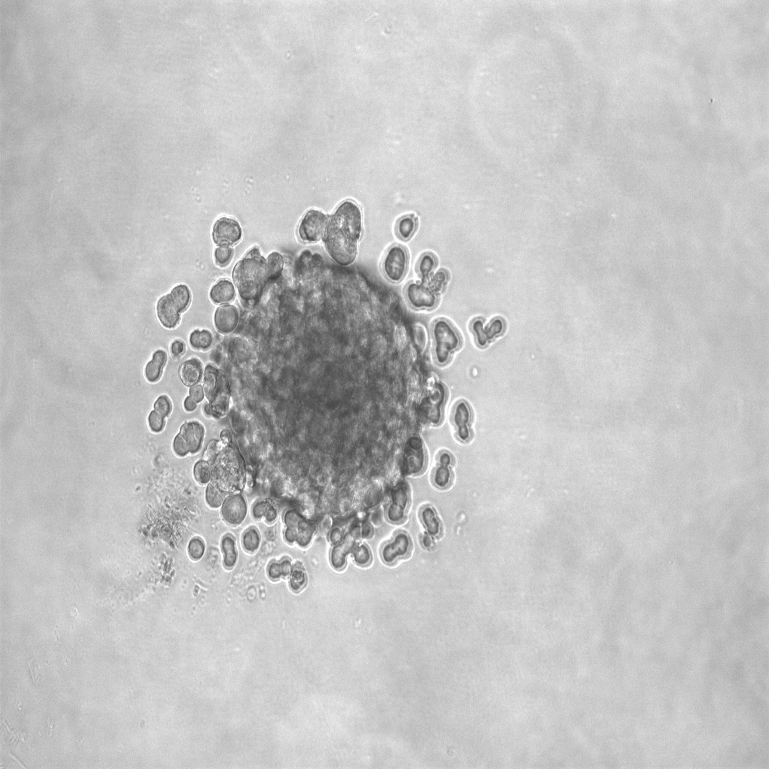 Zur Seite: 3R Technologieplattform