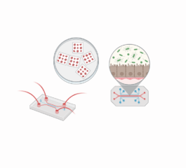 Zur Seite: In Silico Modellierung