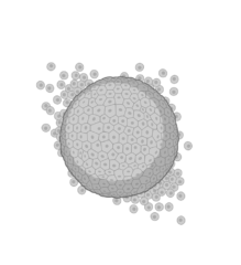 Zur Seite: 3D Zell-und Gewebekulturen