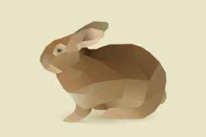 Zur Seite: Tierexperimentelle Forschung und Tierschutz an der FAU