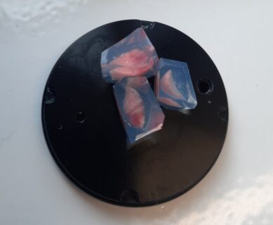 Die Lungenstücke werden auf einem Objekthalter fixiert.